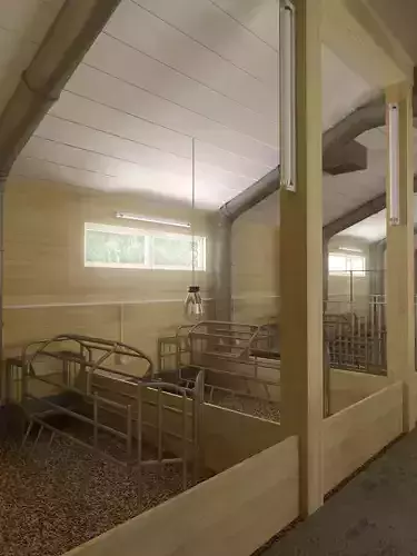Pig farm 3D model