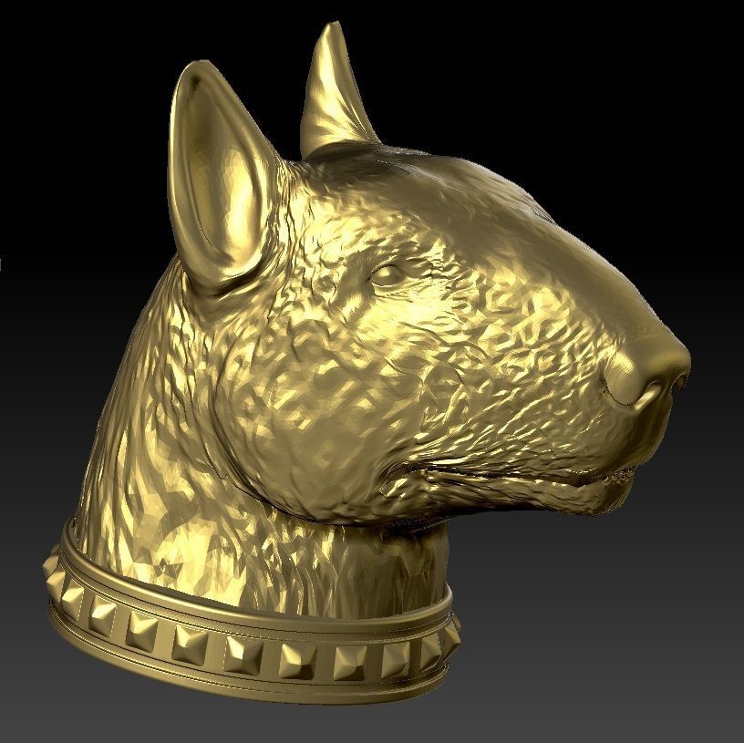 full body bull terrier and head with a collar 3D print model_2
