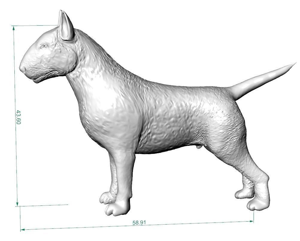 full body bull terrier and head with a collar 3D print model_7