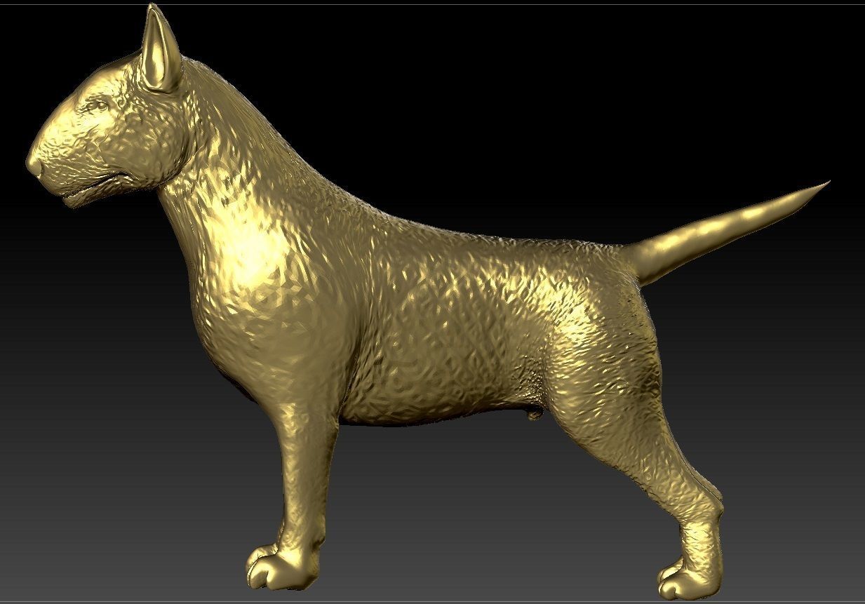 full body bull terrier and head with a collar 3D print model_1