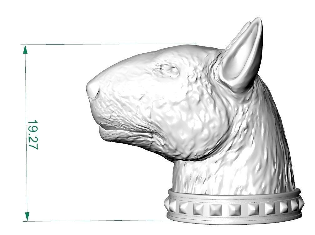 full body bull terrier and head with a collar 3D print model_8