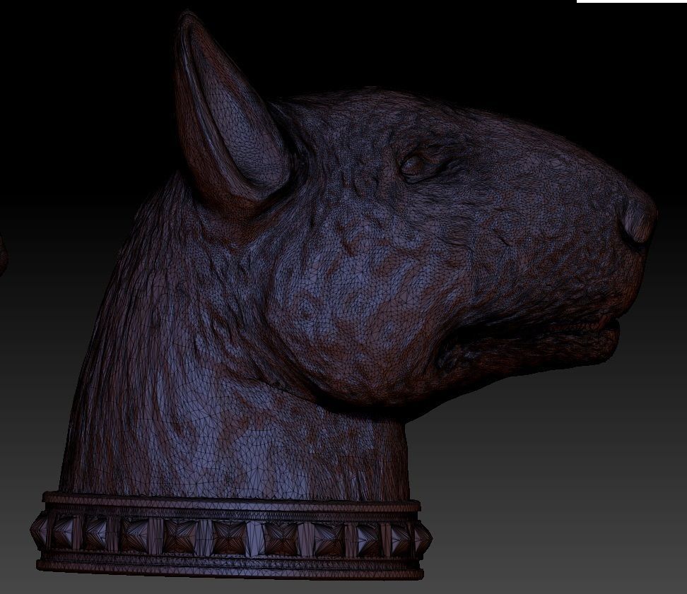 full body bull terrier and head with a collar 3D print model_6