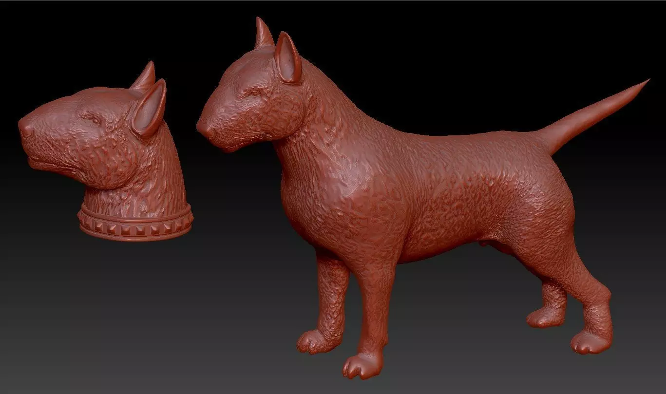 full body bull terrier and head with a collar 3D print model_0