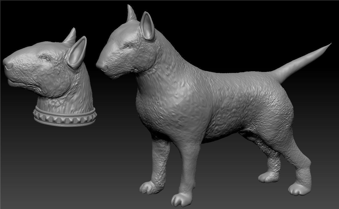 full body bull terrier and head with a collar 3D print model_3