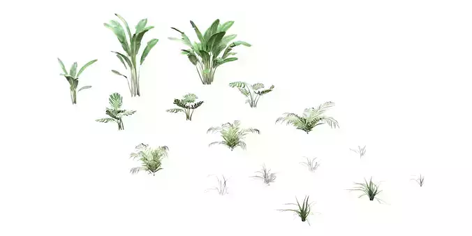 Tropical Plant Pack