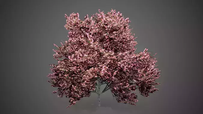 Peach Tree Flowers LODs