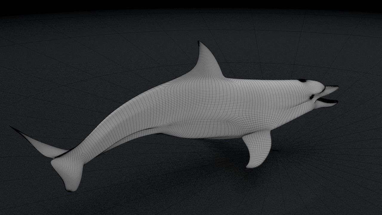 Bottlenose Dolphin 3D Printable Model 3D print model_4