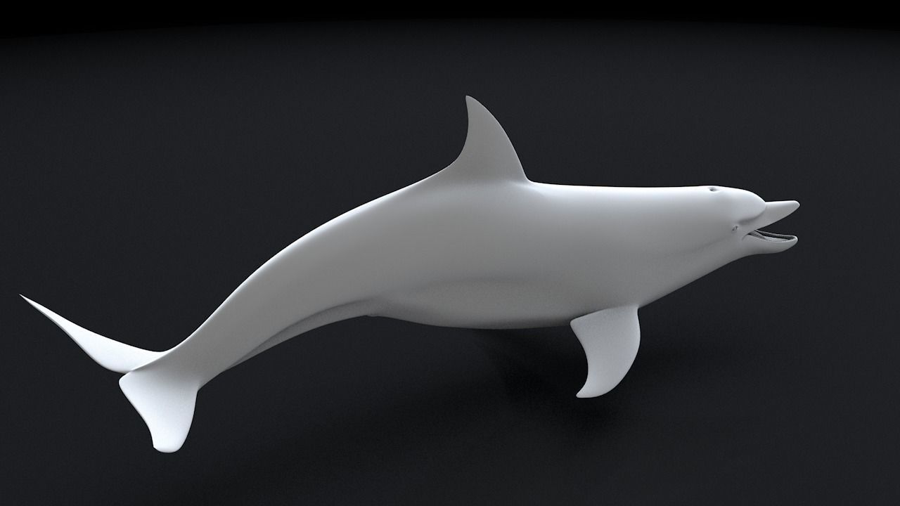 Bottlenose Dolphin 3D Printable Model 3D print model_11