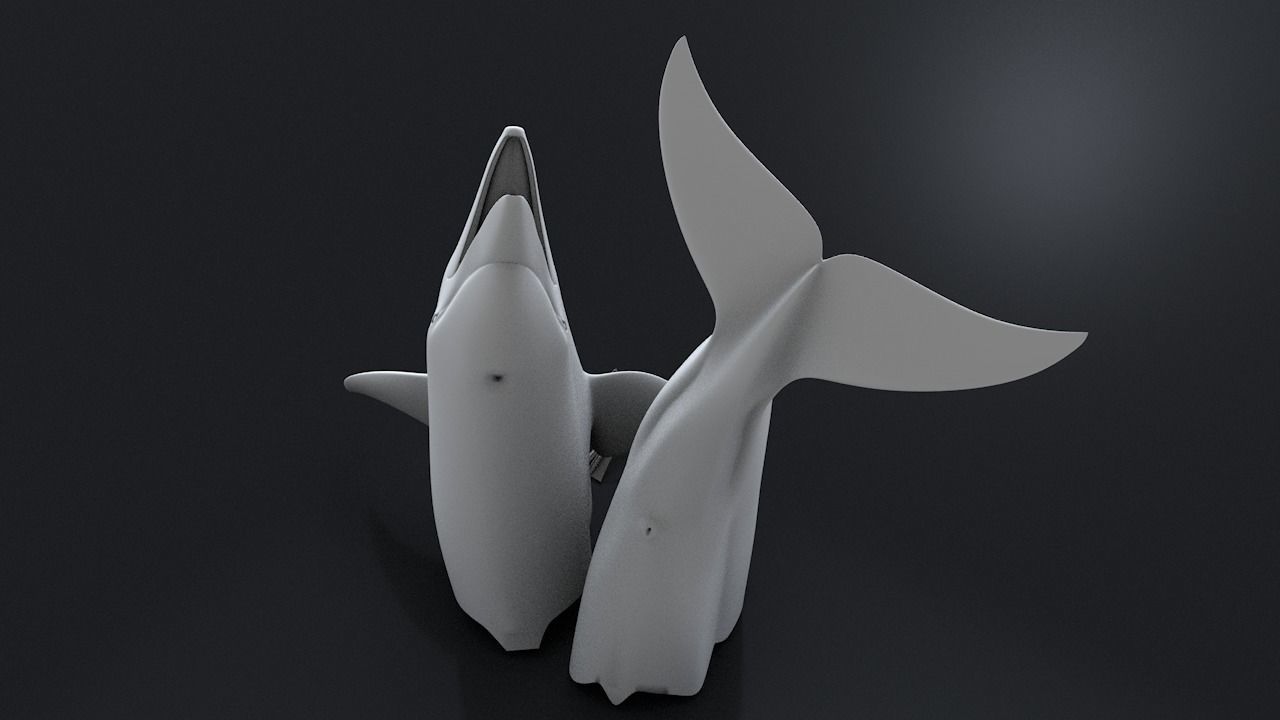 Bottlenose Dolphin 3D Printable Model 3D print model_17