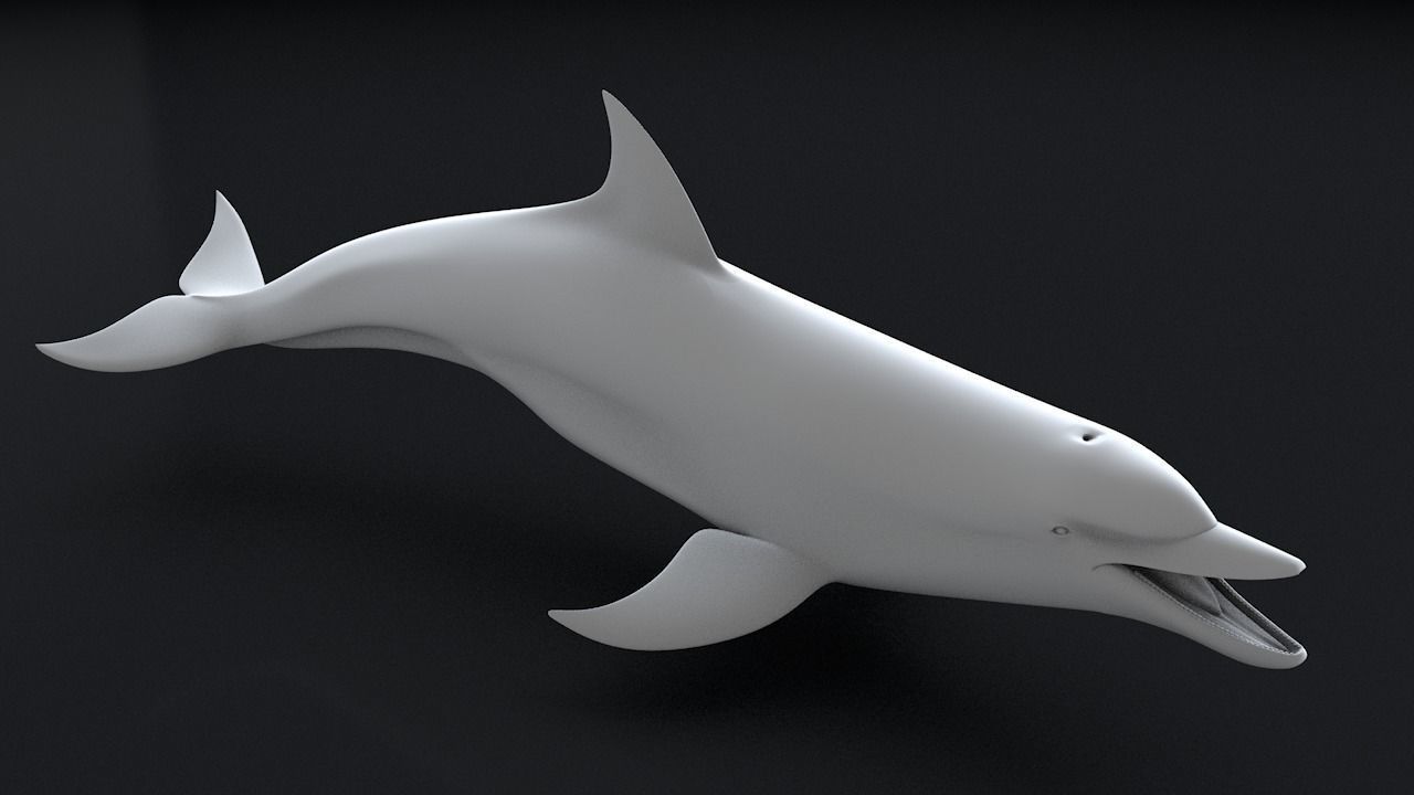 Bottlenose Dolphin 3D Printable Model 3D print model_10