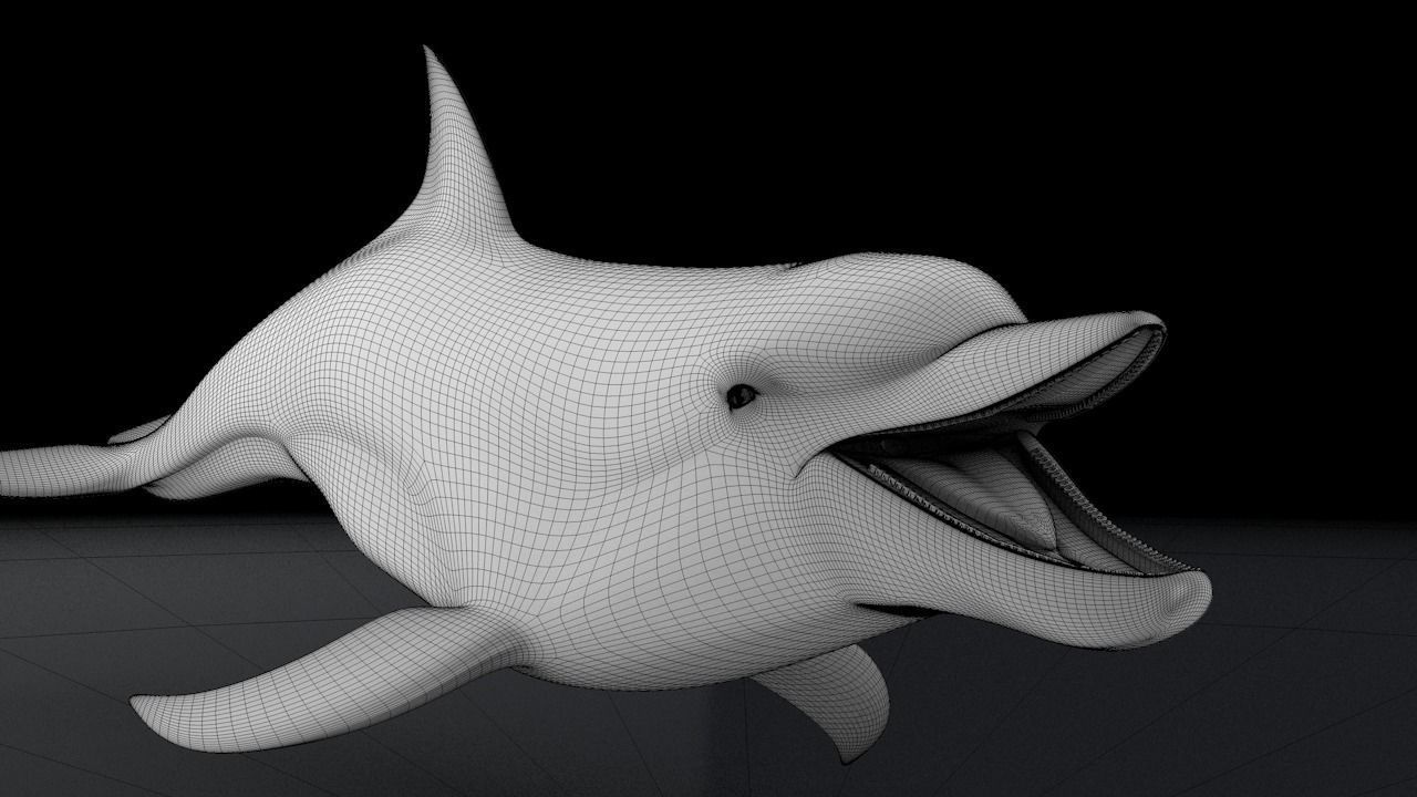 Bottlenose Dolphin 3D Printable Model 3D print model_9