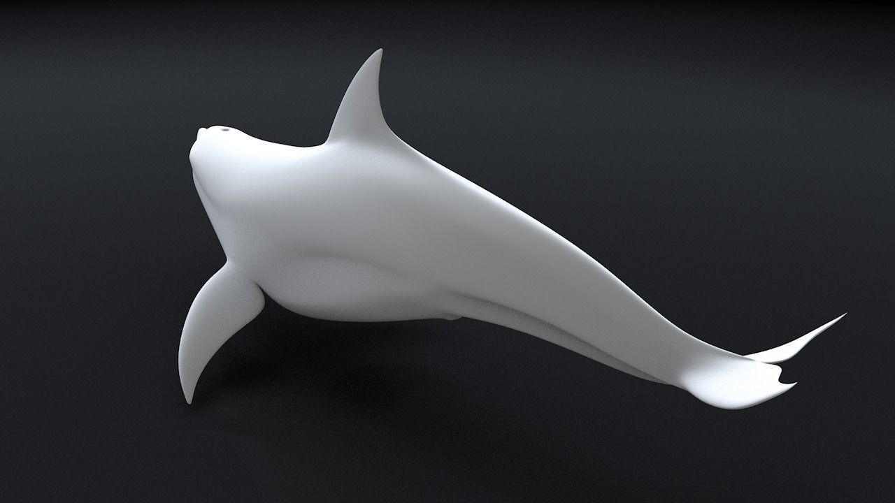 Bottlenose Dolphin 3D Printable Model 3D print model_14
