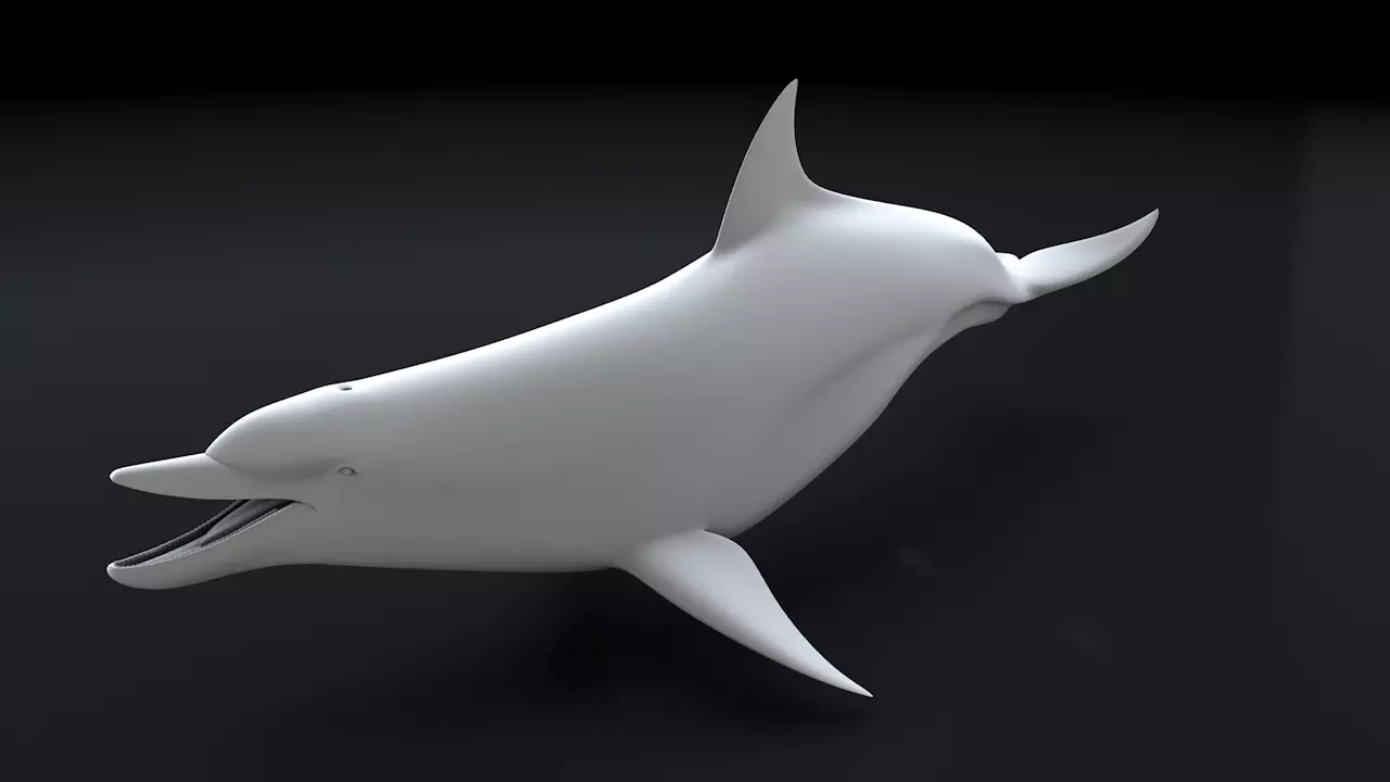 Bottlenose Dolphin 3D Printable Model 3D print model_0