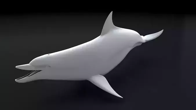 Bottlenose Dolphin 3D Printable Model 3D print model
