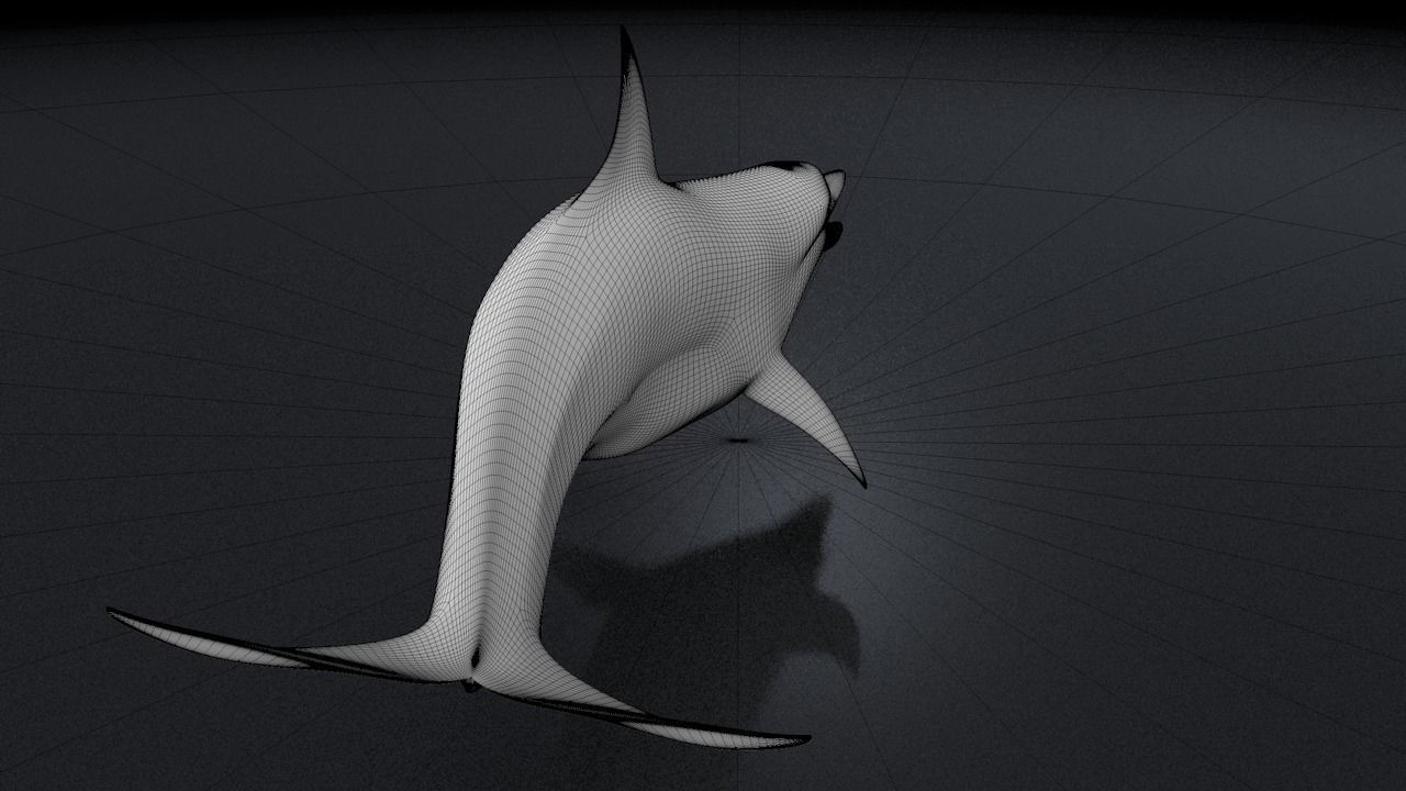 Bottlenose Dolphin 3D Printable Model 3D print model_5