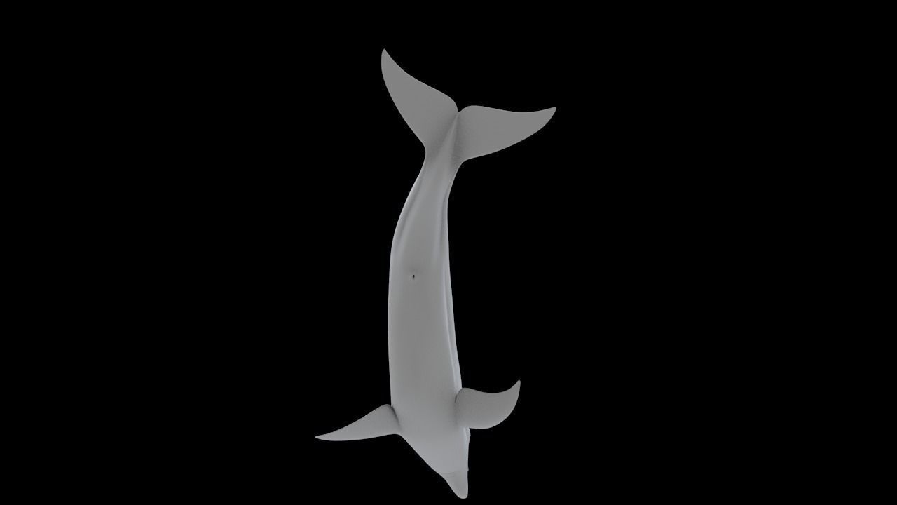 Bottlenose Dolphin 3D Printable Model 3D print model_13