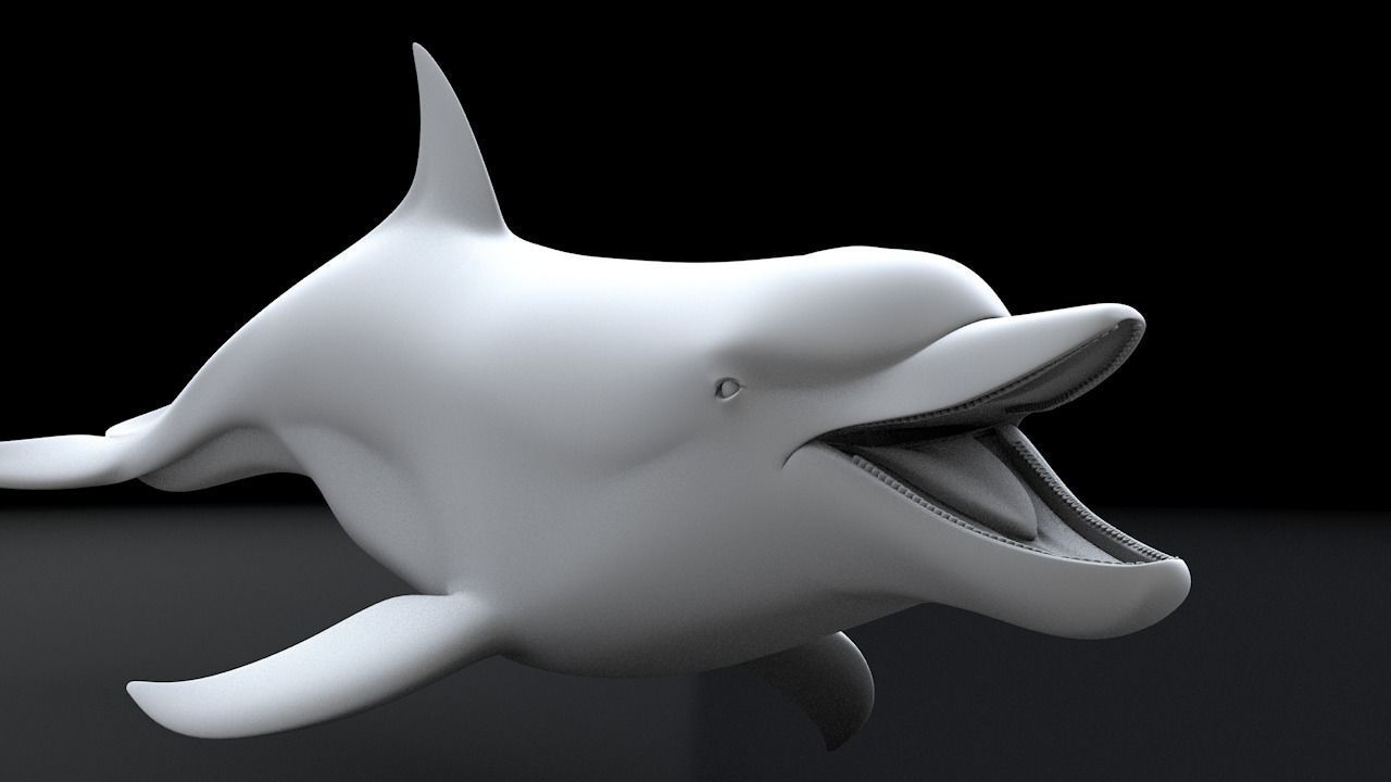 Bottlenose Dolphin 3D Printable Model 3D print model_15