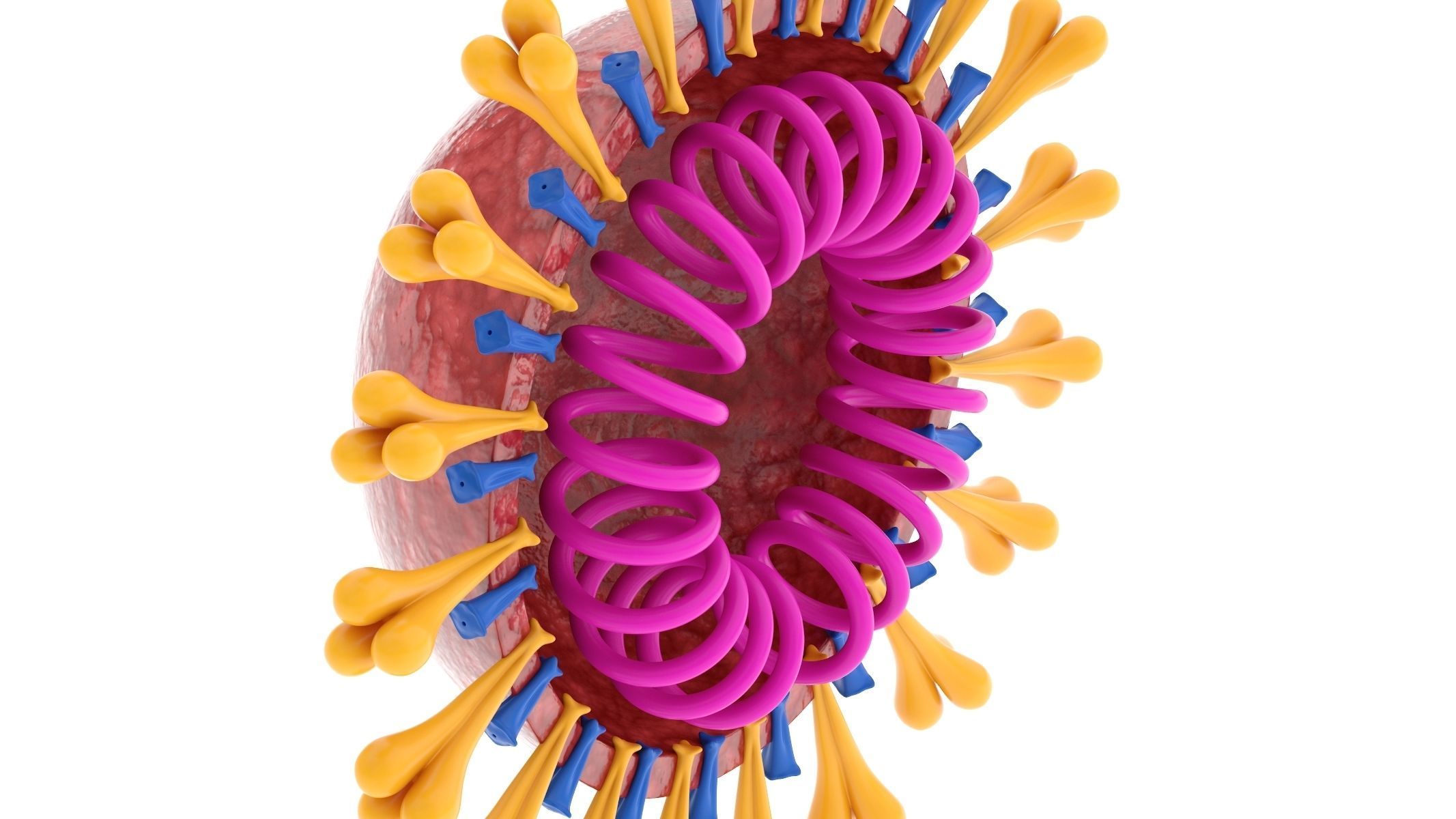 Anti-Corona Virus Collection 3D model_4