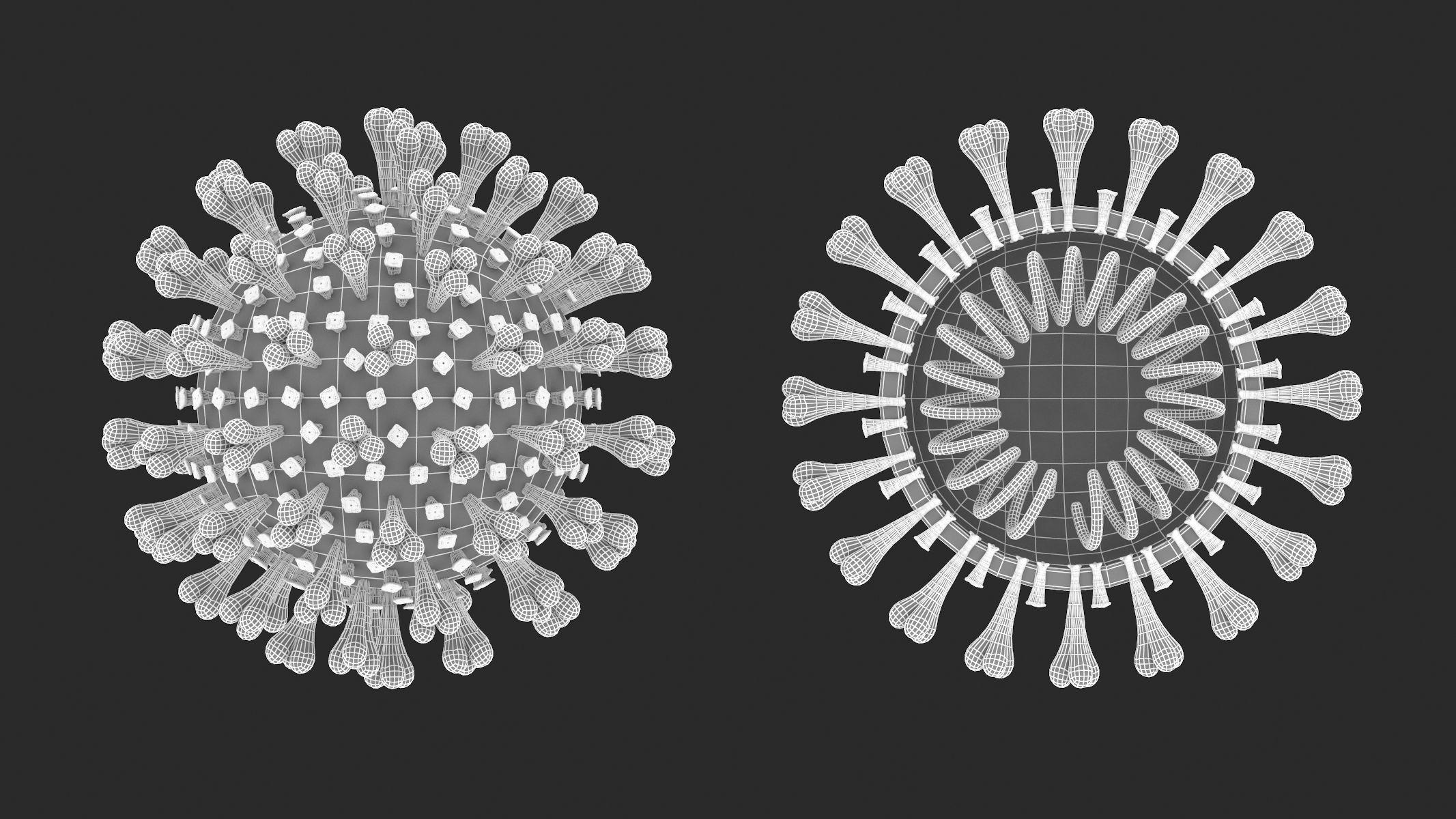 Anti-Corona Virus Collection 3D model_5