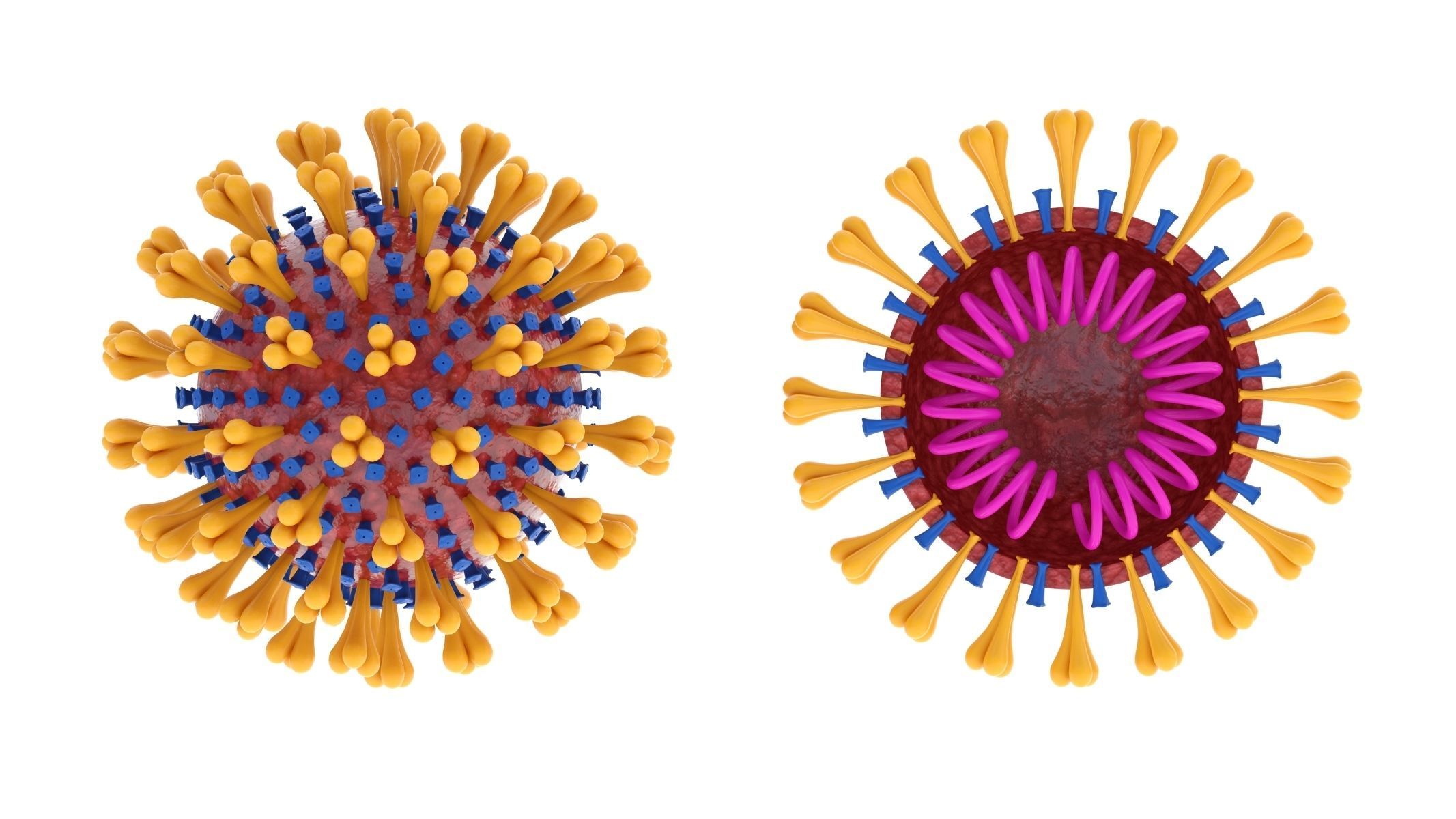 Anti-Corona Virus Collection 3D model_1