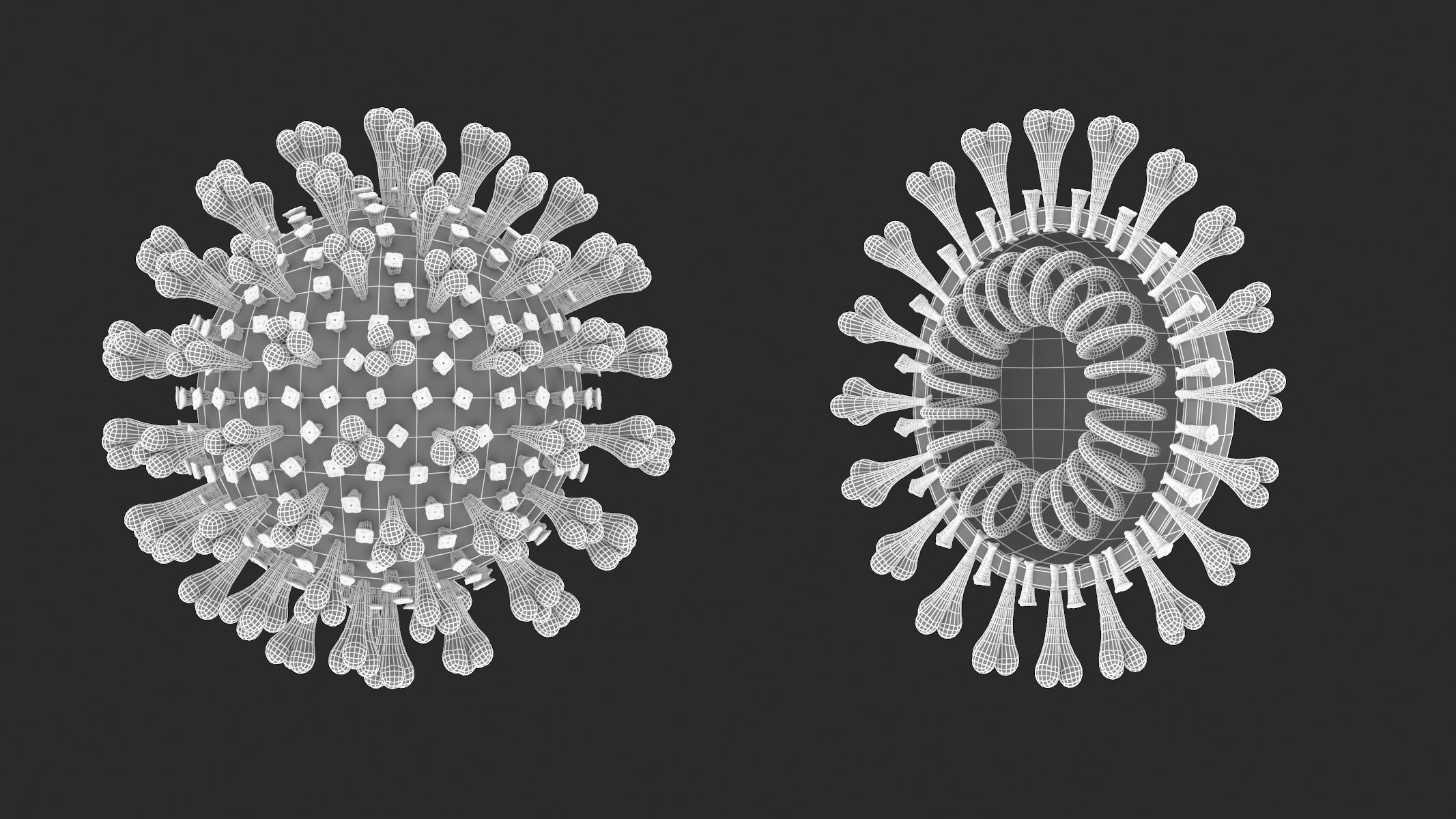 Anti-Corona Virus Collection 3D model_6