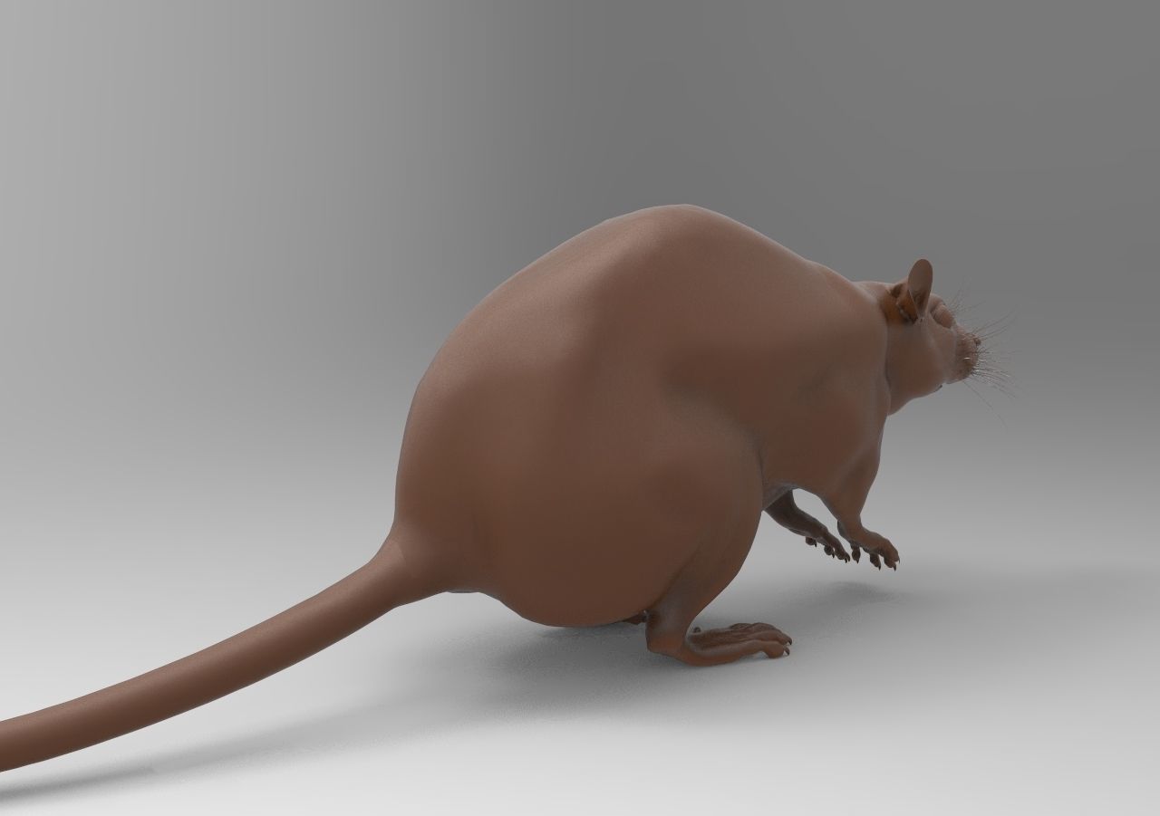 LABRAT rat 3D print model_4