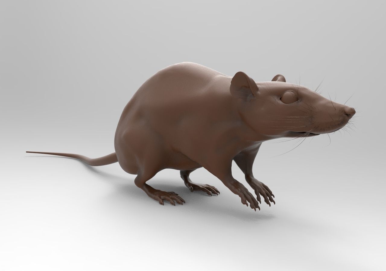 LABRAT rat 3D print model_2