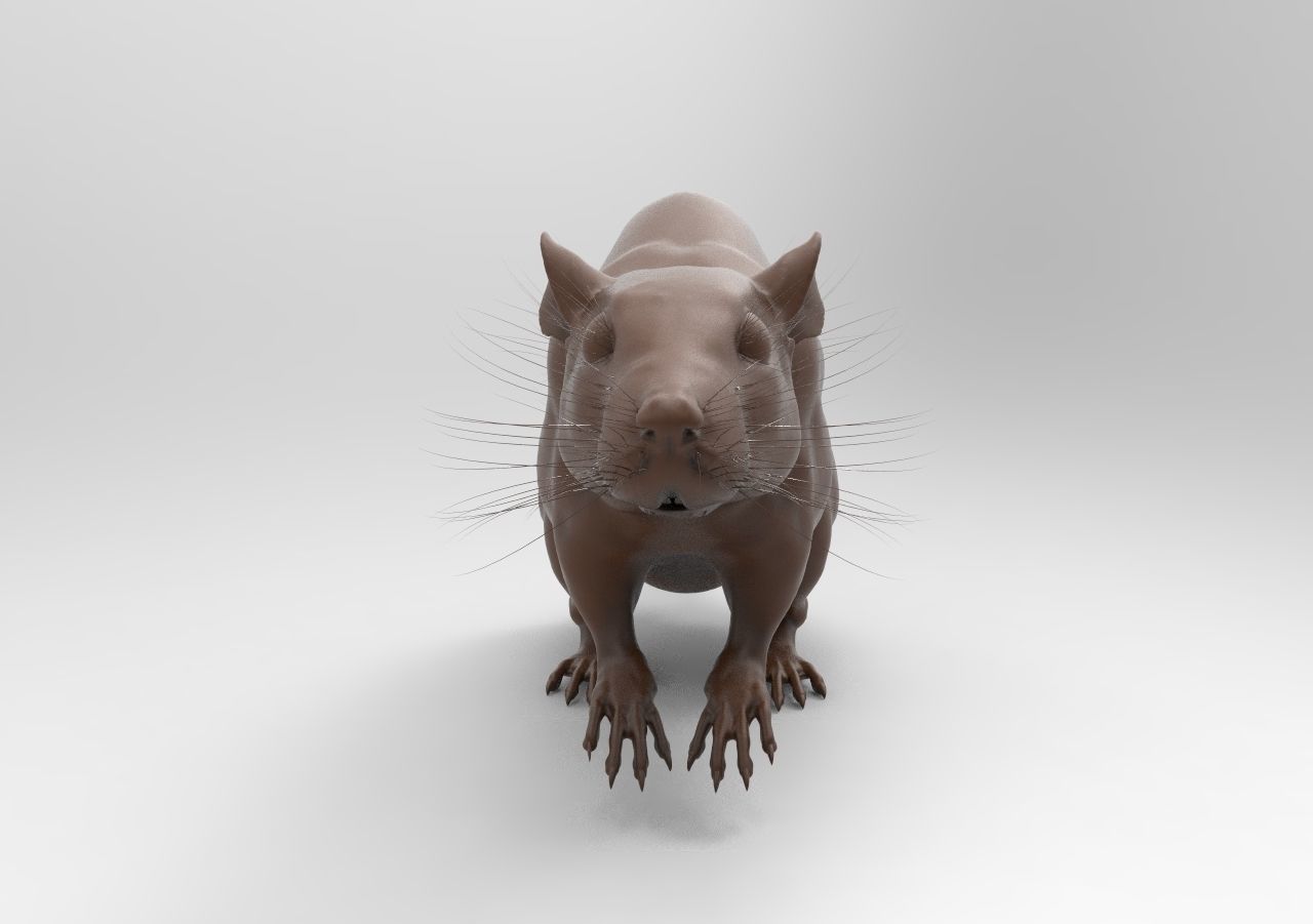 LABRAT rat 3D print model_1