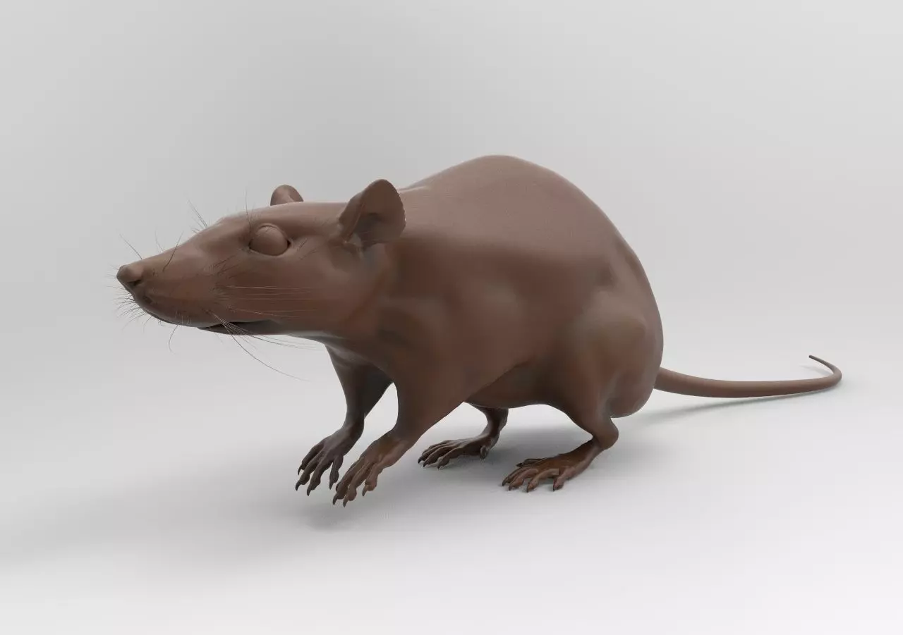 LABRAT rat 3D print model_0