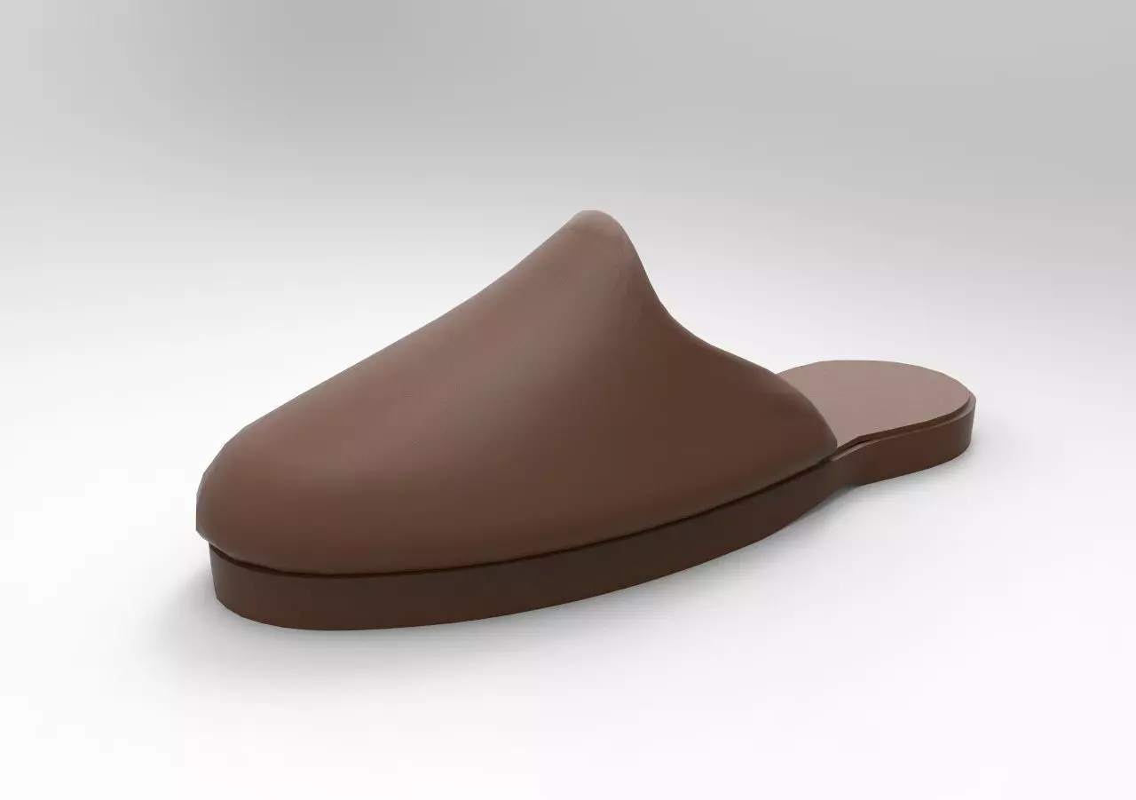 Mens Slipper 3D print model_0