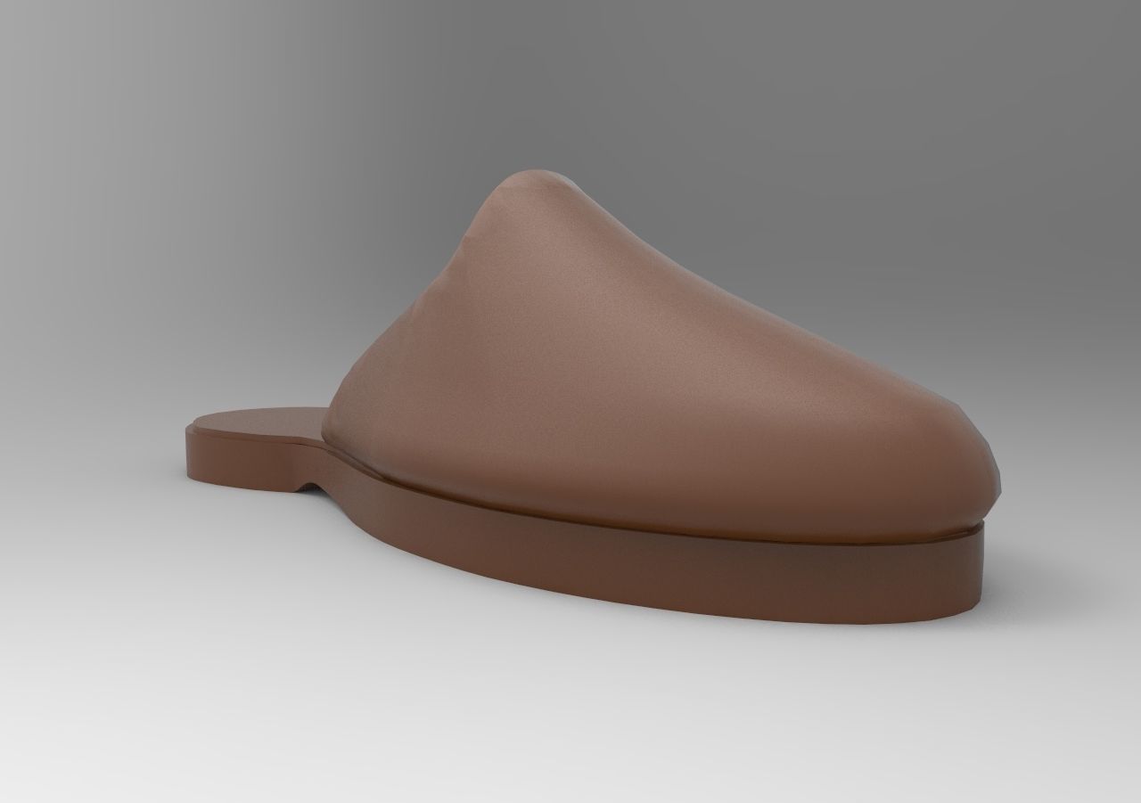 Mens Slipper 3D print model_2