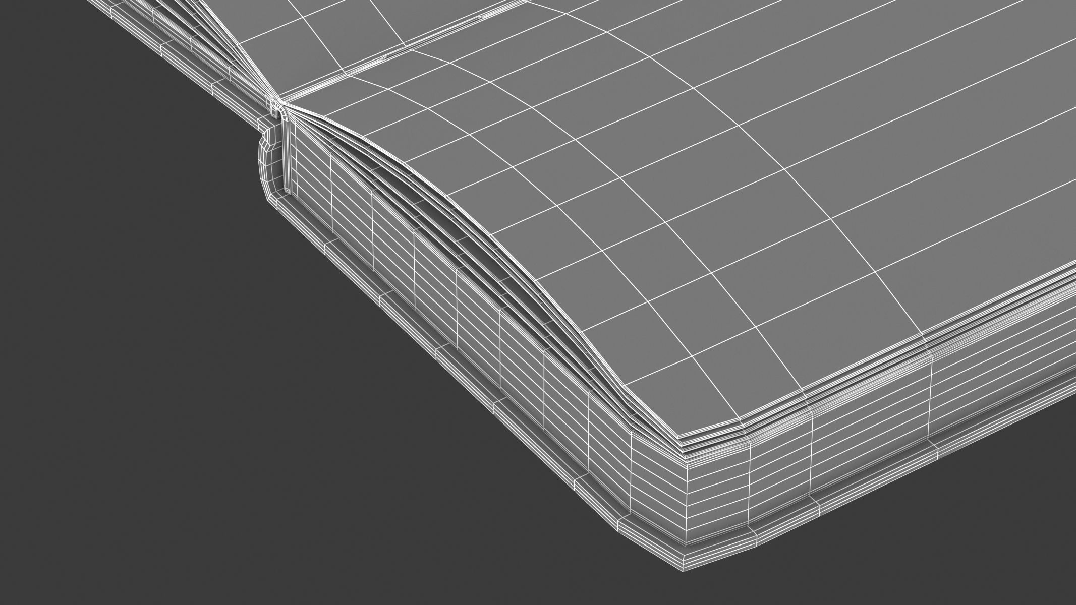 Open Journal 3D model_17