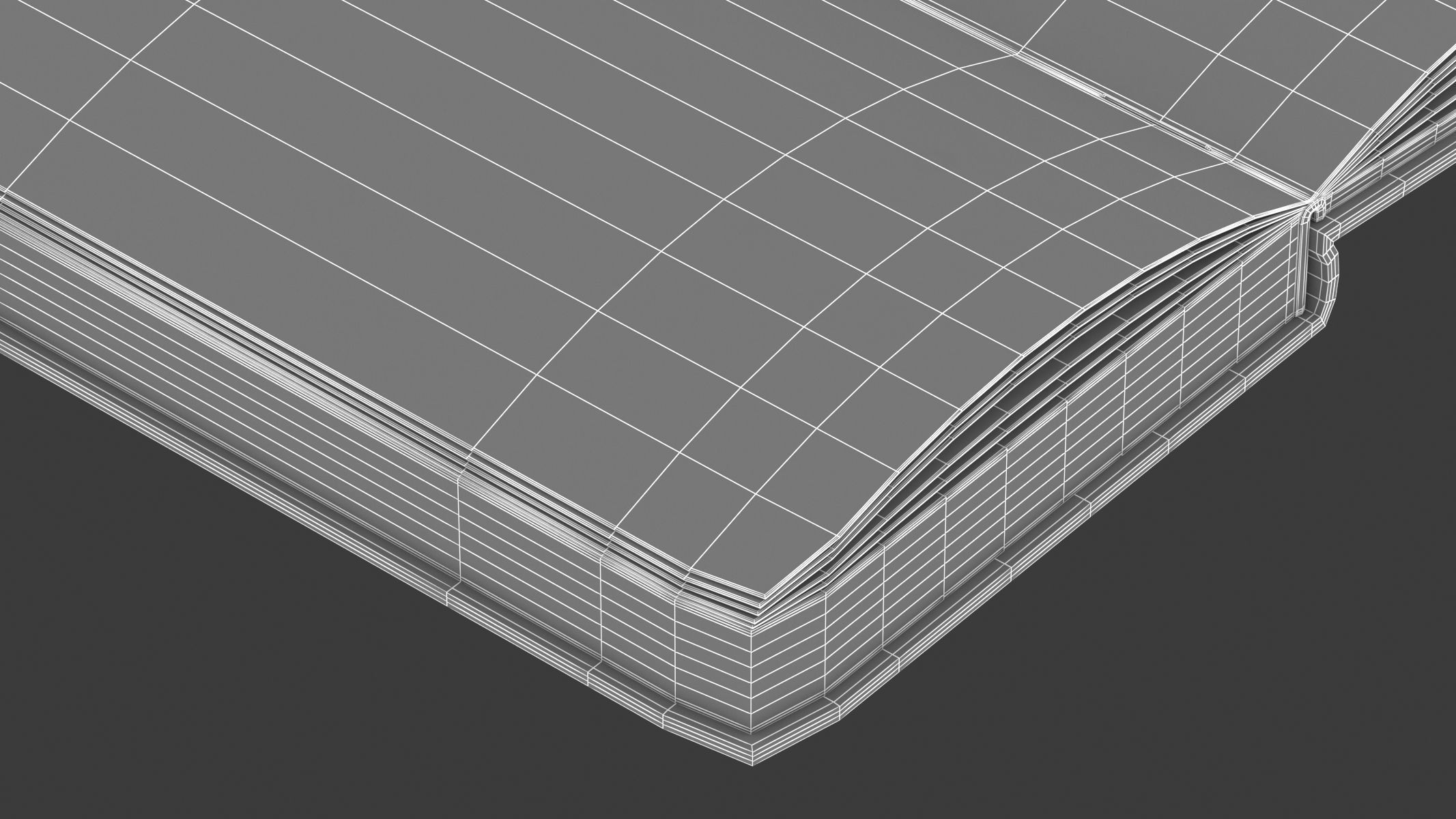 Open Journal 3D model_16