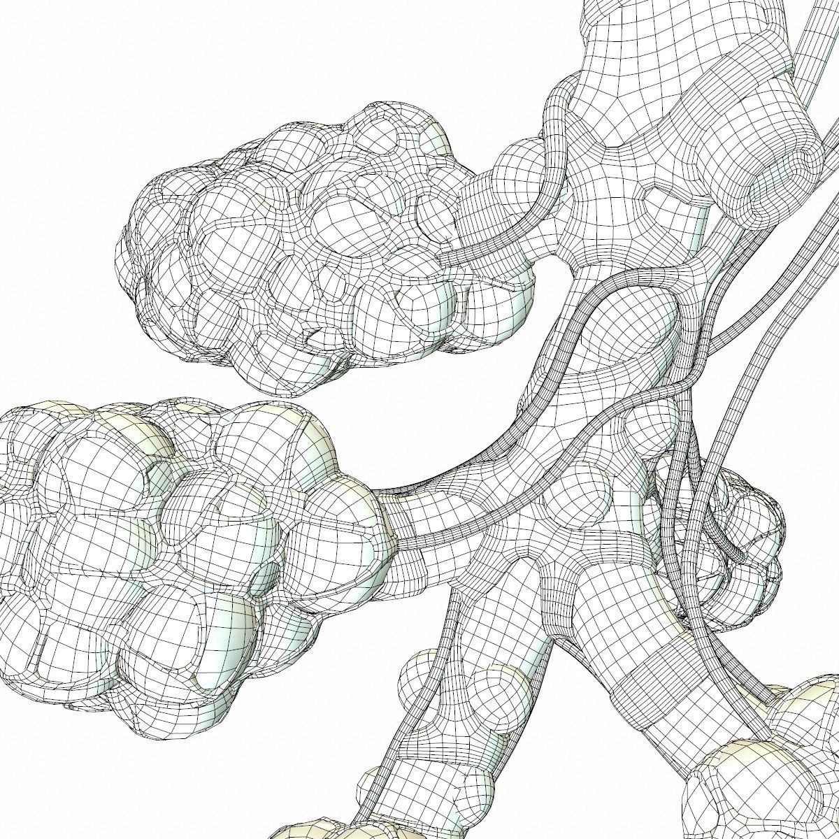 Realistic Human Bronchi Alveoli Anatomy 3D model_17