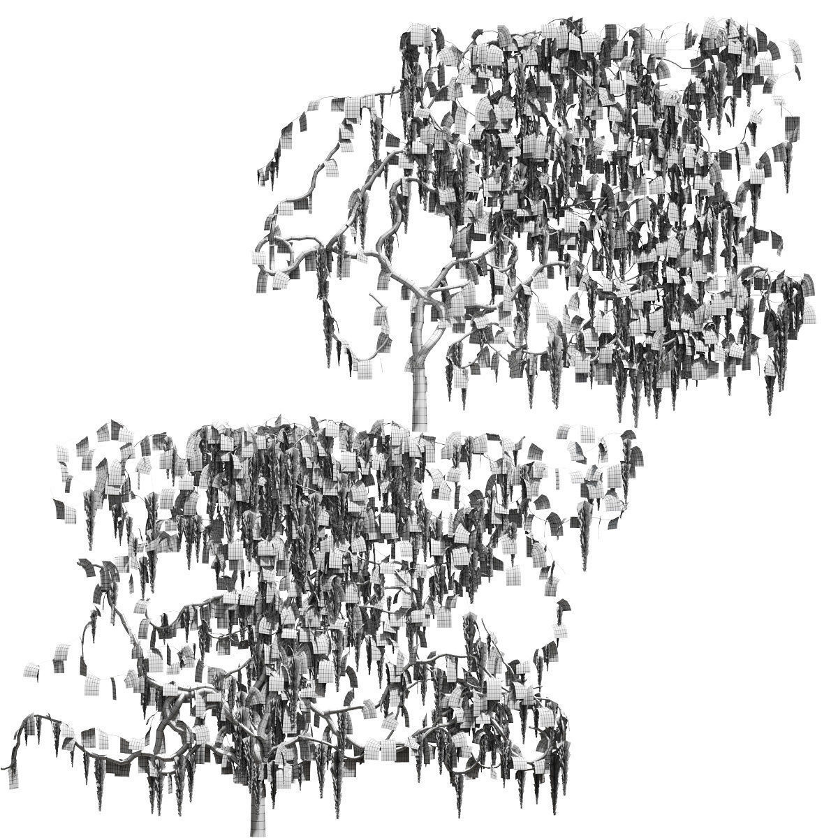 Wisteria for walls 3D model_2