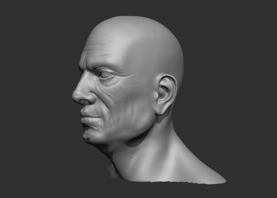 Old Male Head Realistic Base Mesh 3D Model 3D model_10