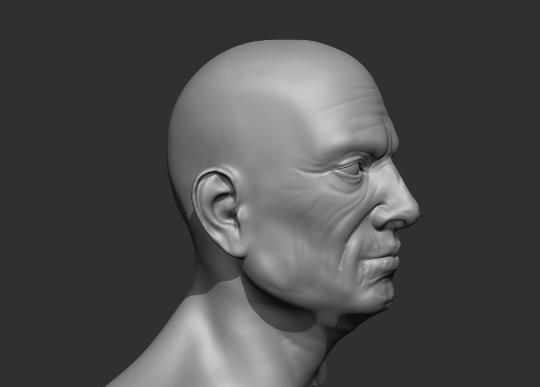 Old Male Head Realistic Base Mesh 3D Model 3D model_19