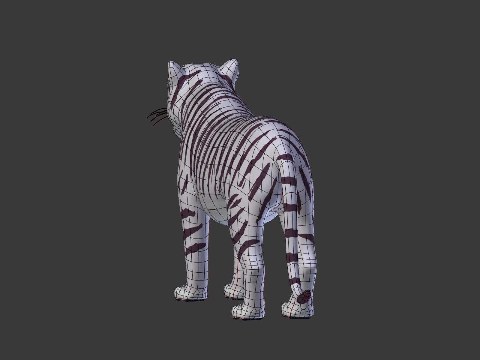 Cartoon White Tiger 3D model_22