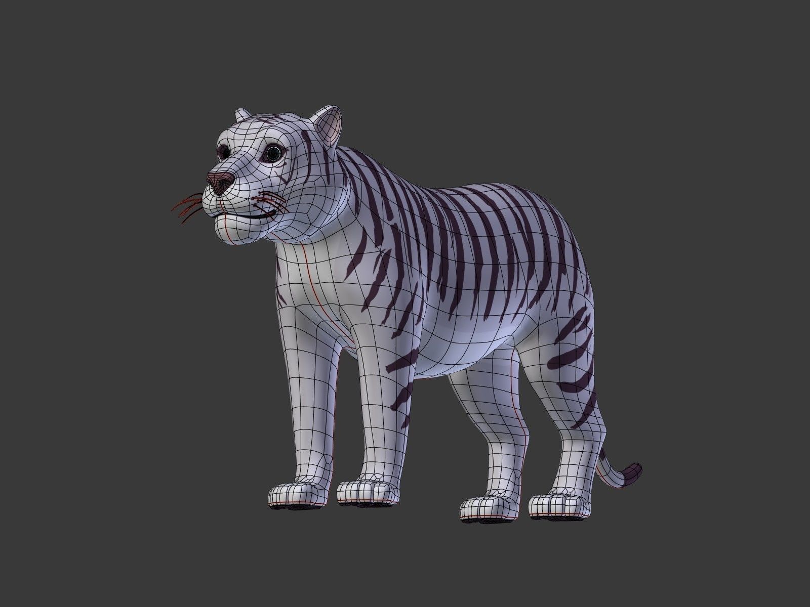 Cartoon White Tiger 3D model_18