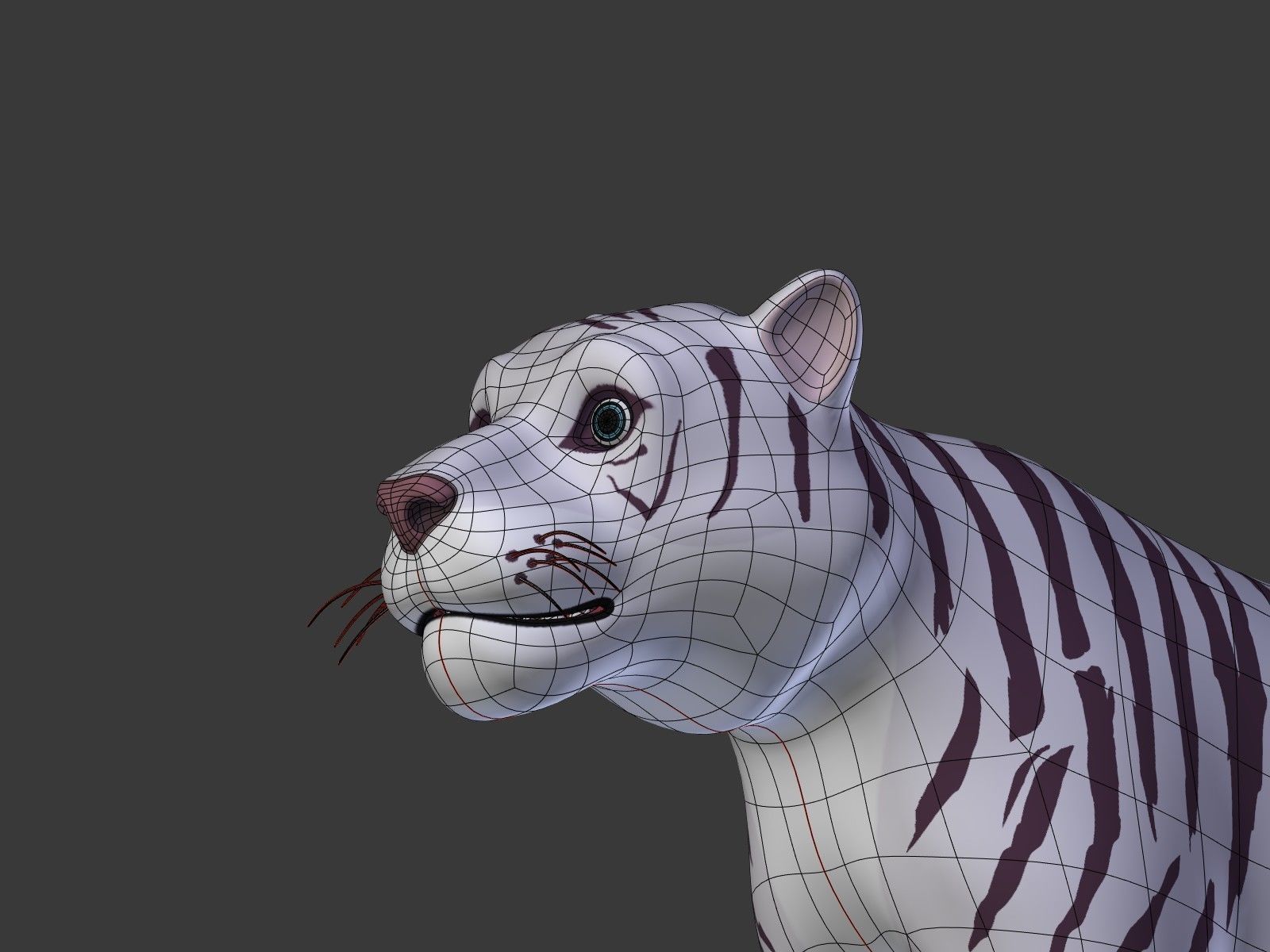 Cartoon White Tiger 3D model_28