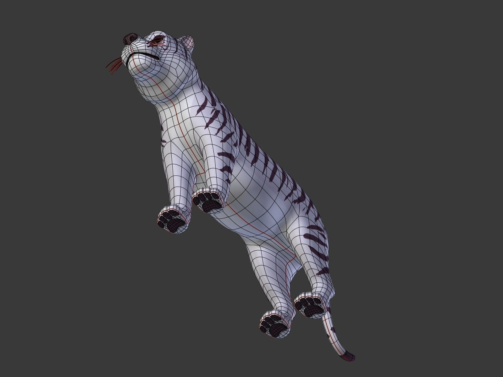 Cartoon White Tiger 3D model_26