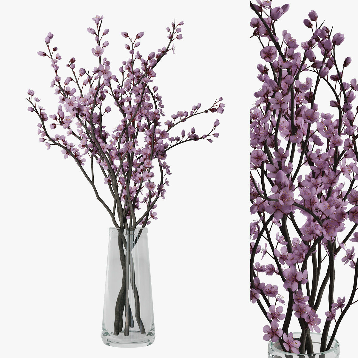 Plum blossom 3D model_0