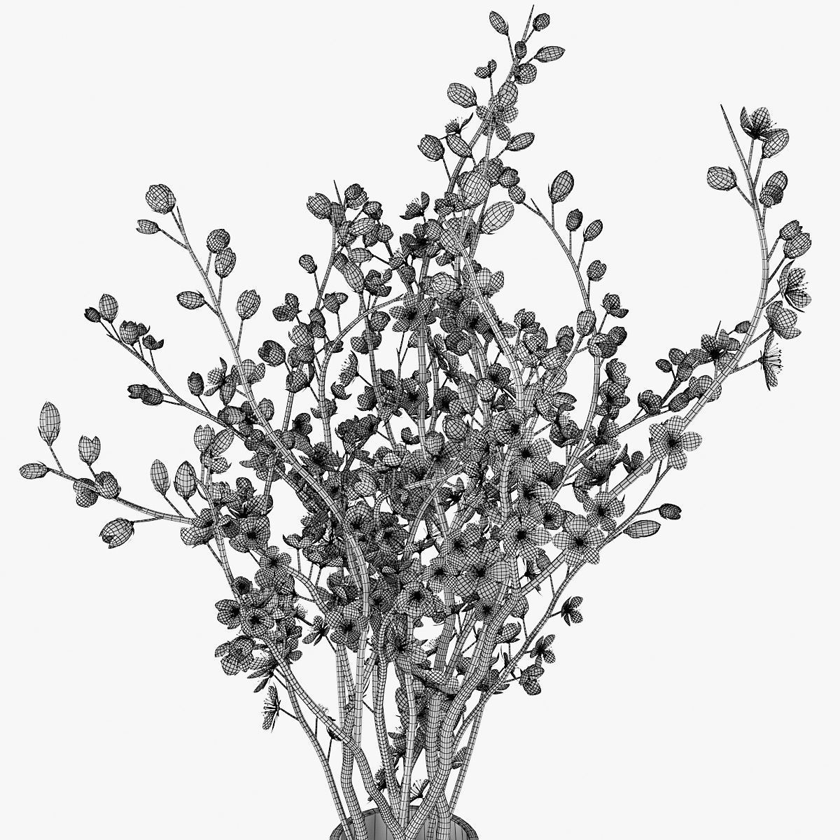 Plum blossom 3D model_11