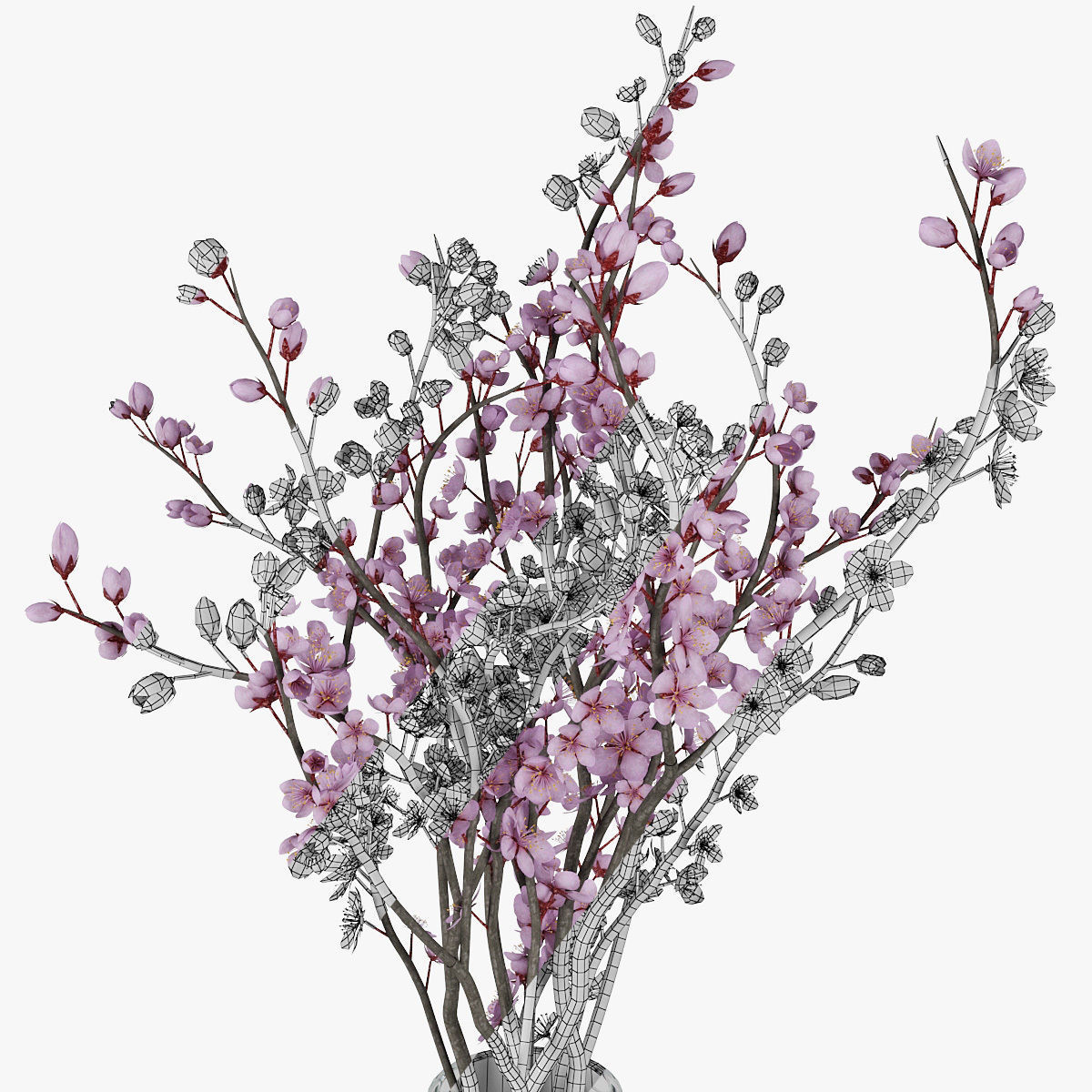 Plum blossom 3D model_12