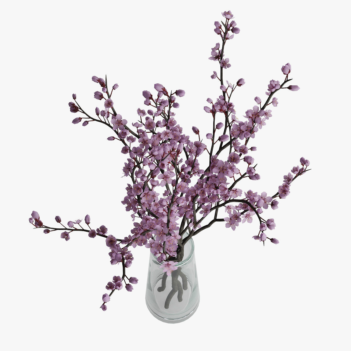 Plum blossom 3D model_5