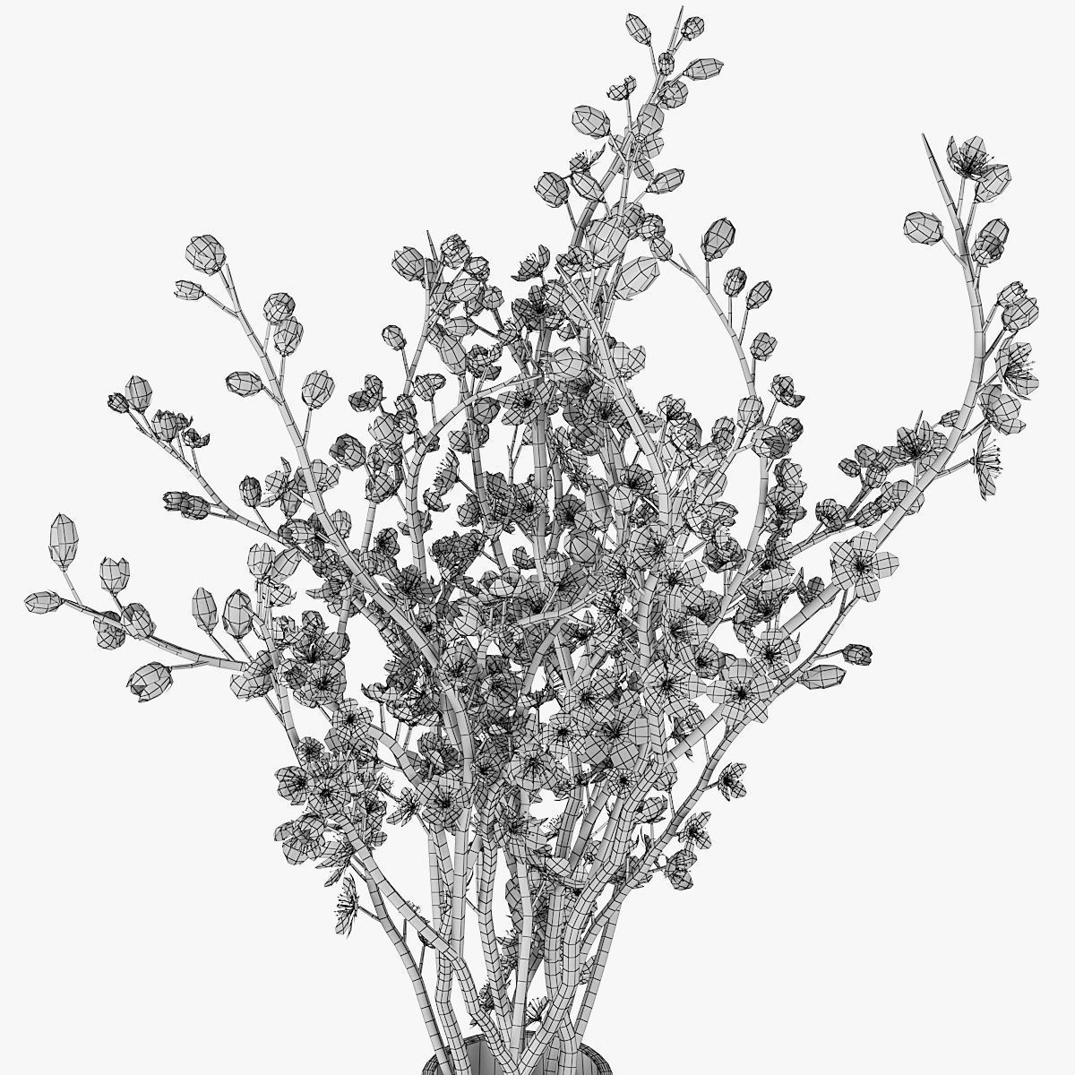 Plum blossom 3D model_9