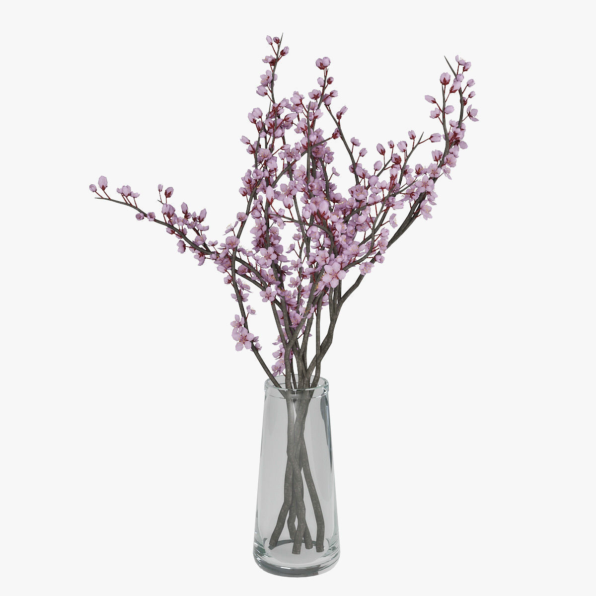 Plum blossom 3D model_6