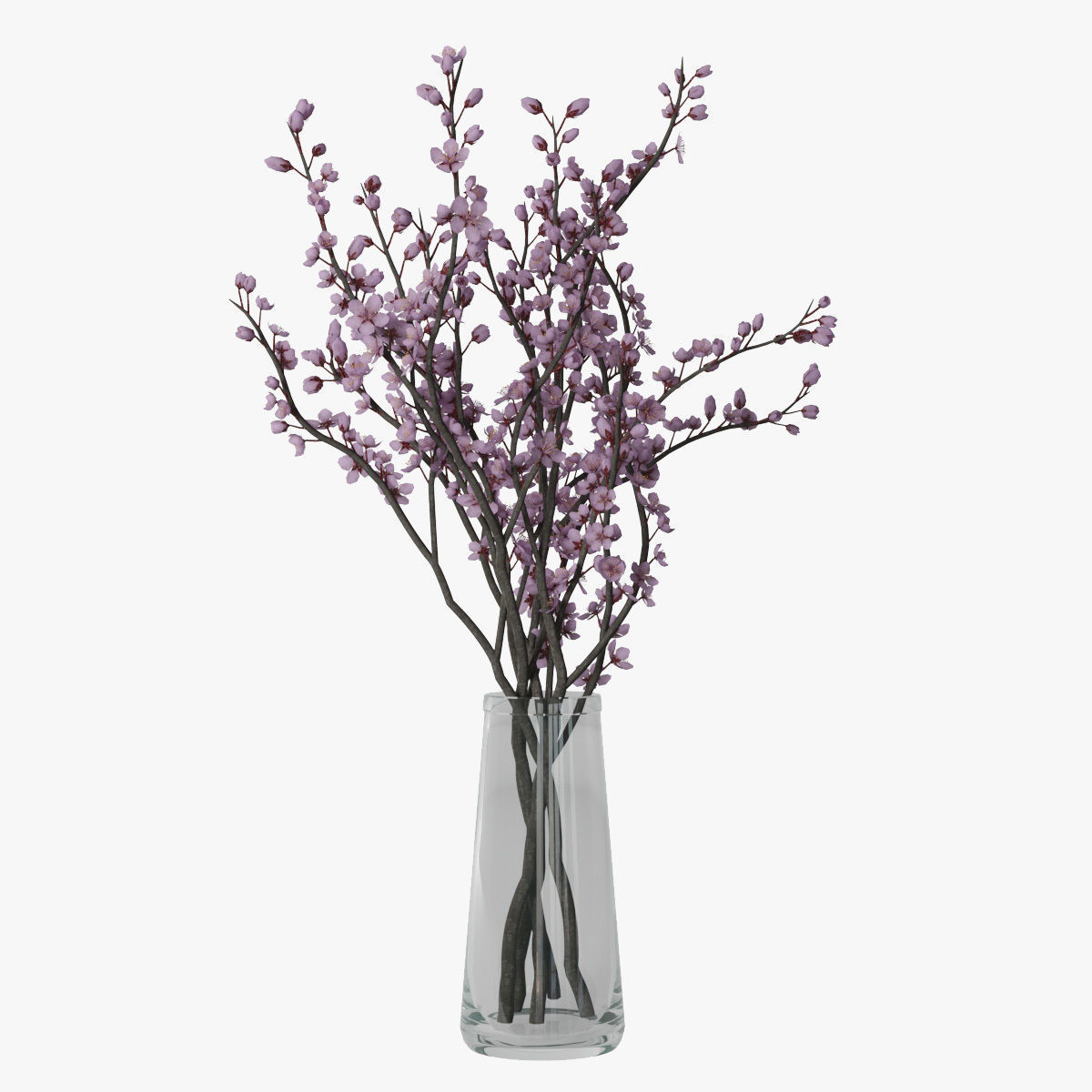 Plum blossom 3D model_1