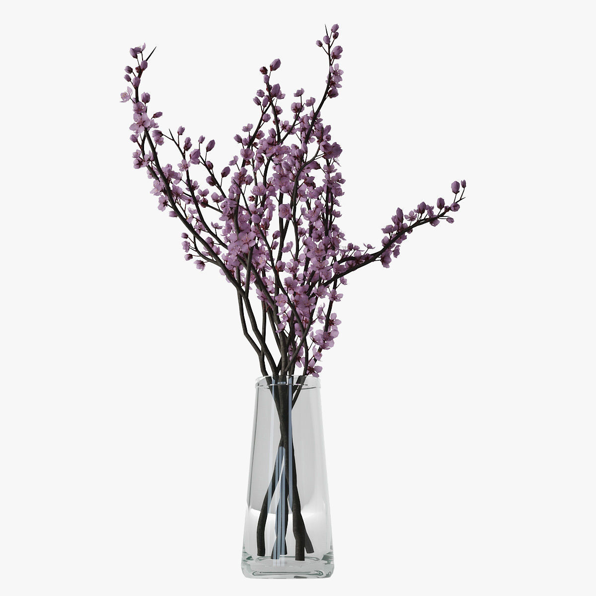 Plum blossom 3D model_3