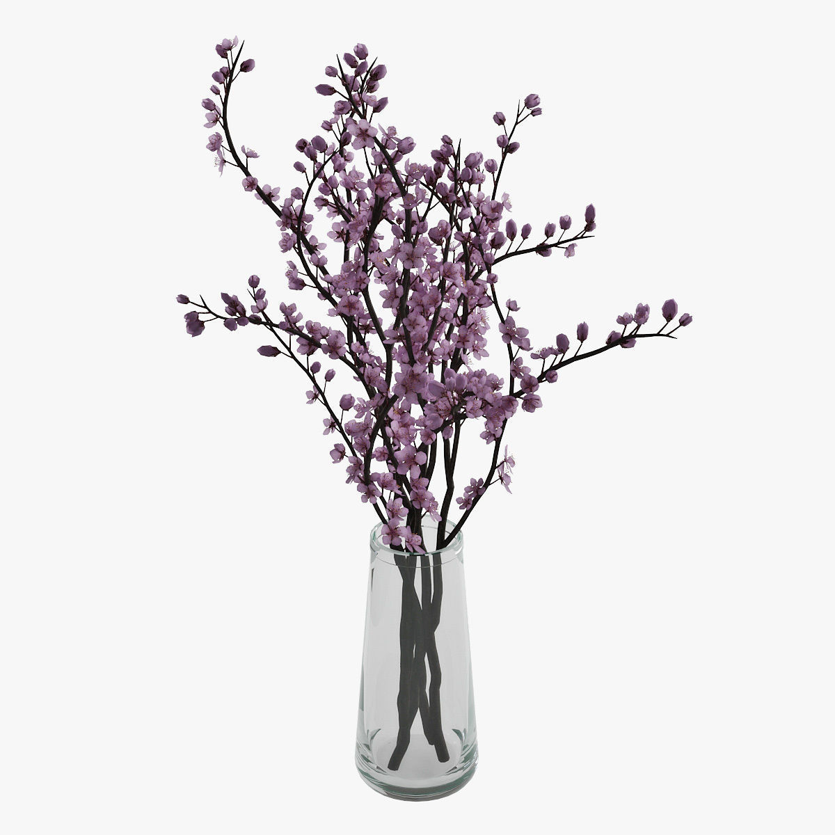 Plum blossom 3D model_4